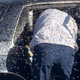 Image for article titled More Than 15,000 Bees Swarm A Car In A Grocery Store Parking Lot
